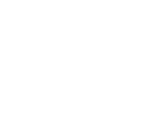 Bridge Youth