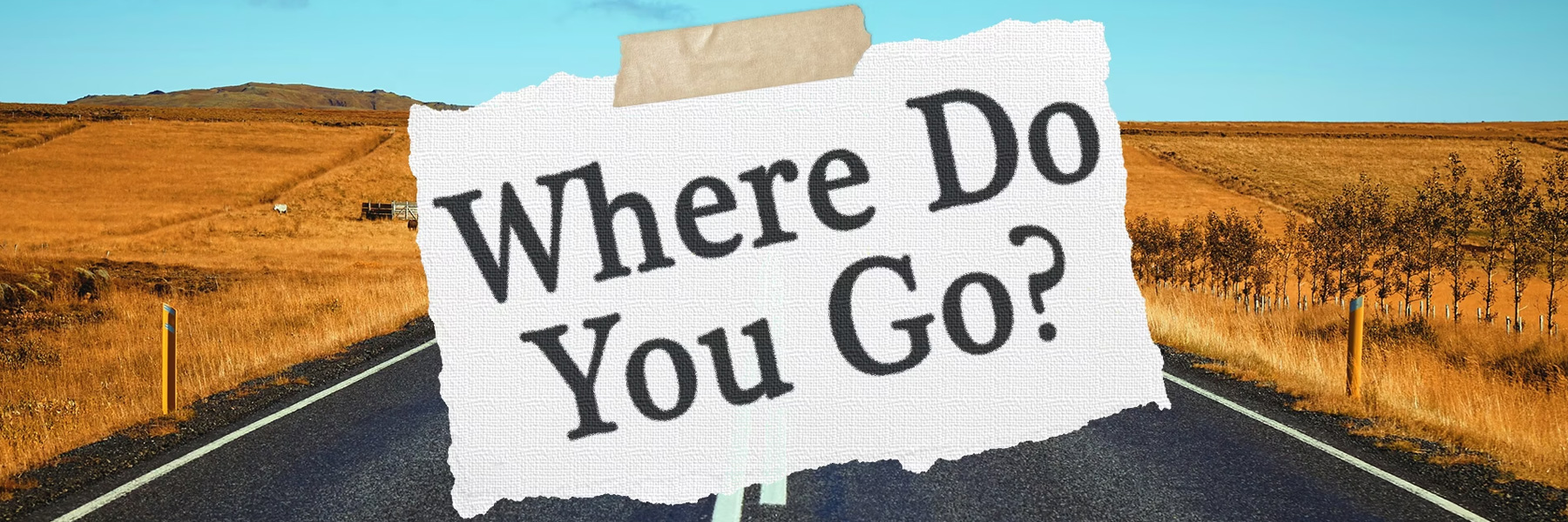 Where Do You Go?